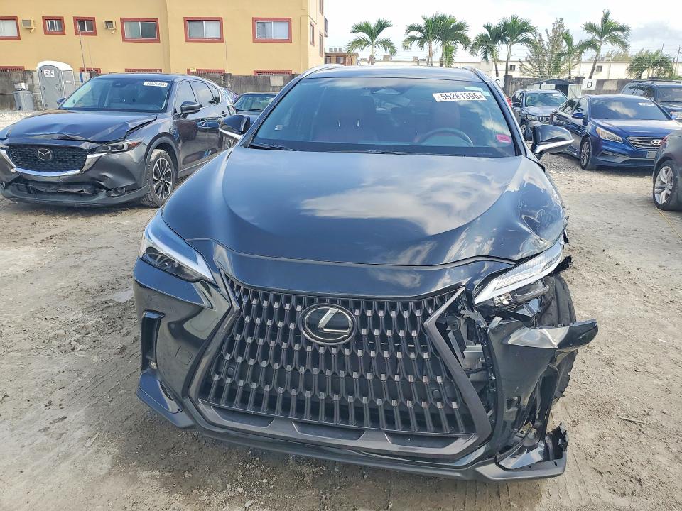 Продаж на аукціоні авто 2025 Lexus Nx 250, vin: 2T2ADCAZ4SC024183, номер лоту: 55281396