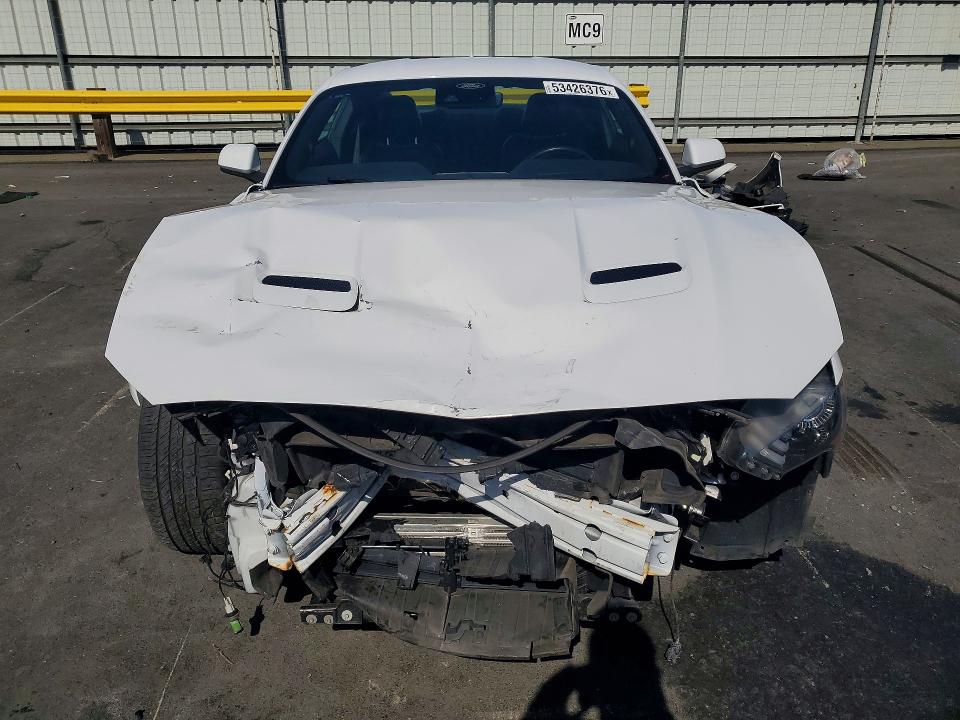 53426376 :رقم المزاد ، 1FA6P8TH7P5103635 vin ، 2023 Ford Mustang مزاد بيع