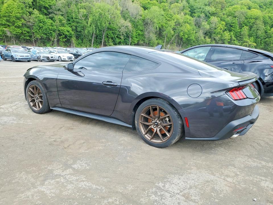 53164426 :رقم المزاد ، 1FA6P8TH4R5117804 vin ، 2024 Ford Mustang مزاد بيع