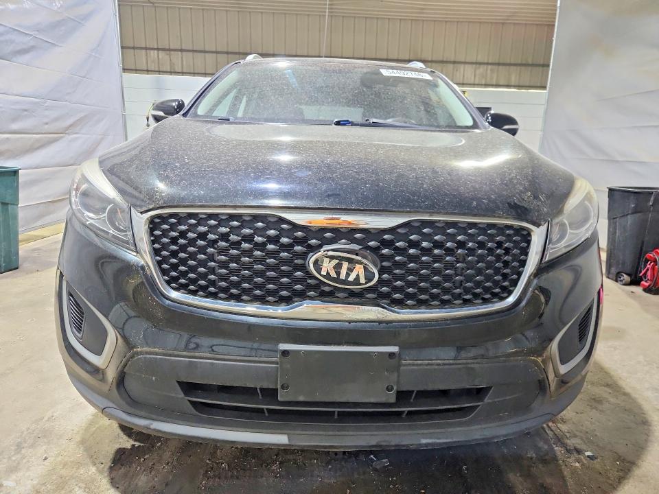 54492746 :رقم المزاد ، 5XYPGDA5XGG084392 vin ، 2016 Kia Sorento مزاد بيع
