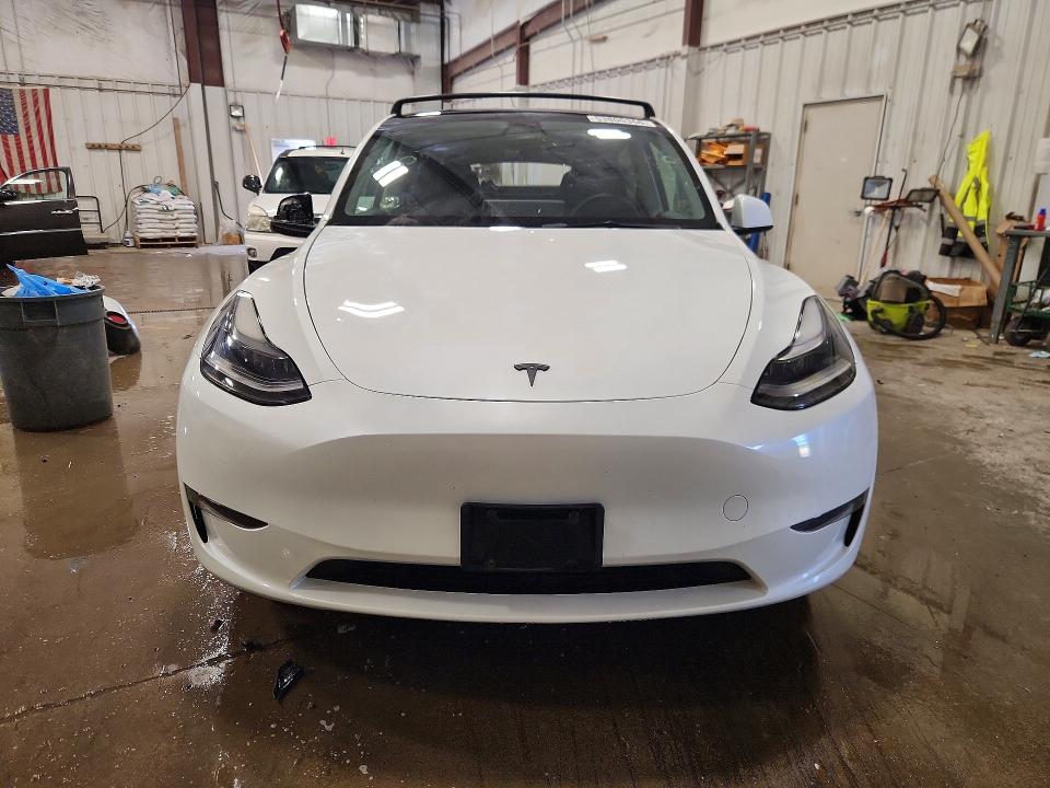 Продаж на аукціоні авто 2023 Tesla Model Y, vin: 7SAYGDEE9PF714007, номер лоту: 53800366