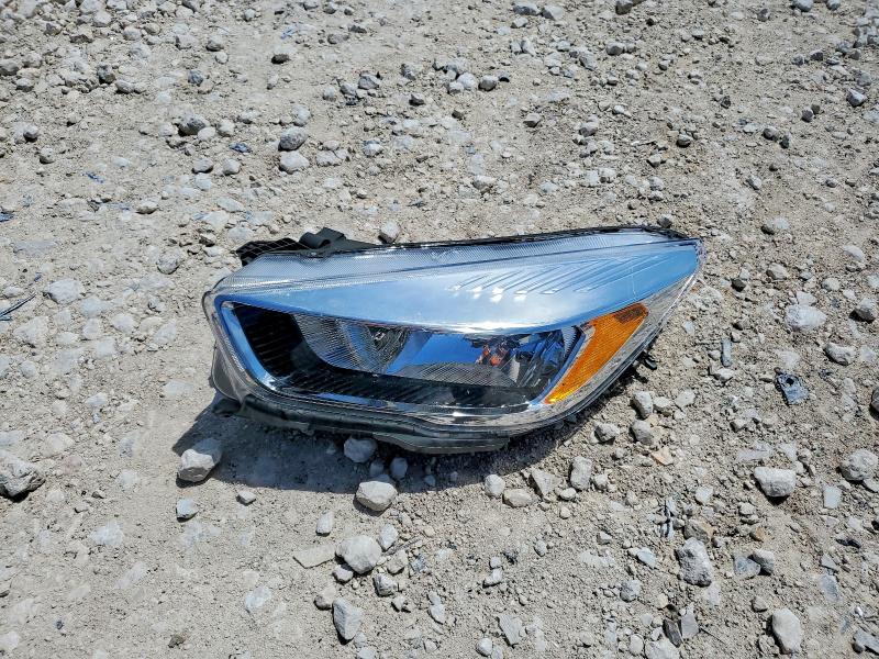 54132466 :رقم المزاد ، 1FMCU0GDXKUB81898 vin ، 2019 Ford Escape مزاد بيع