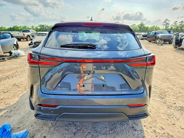 Продажа на аукционе авто 2025 Lexus Nx 350, vin: 2T2GGCEZ0SC062814, номер лота: 50736916