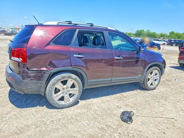Продаж на аукціоні авто 2011 Kia Sorento, vin: 5XYKTDA15BG186405, номер лоту: 52902756
