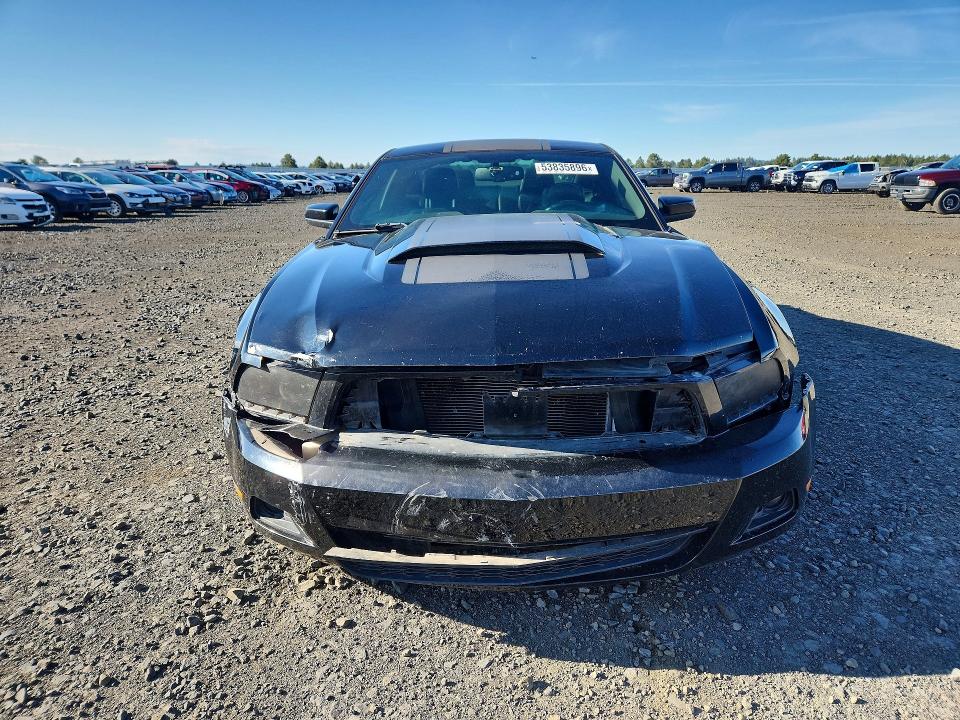 Продажа на аукционе авто 2012 Ford Mustang, vin: 1ZVBP8AM9C5205289, номер лота: 53835896