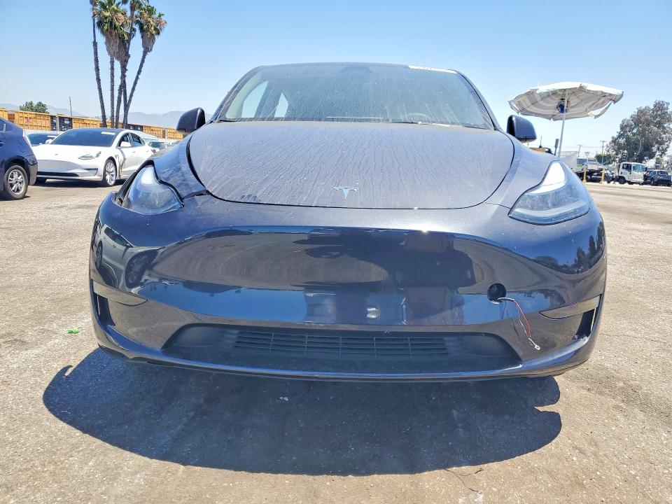 Продаж на аукціоні авто 2024 Tesla Model Y, vin: 7SAYGDED5RF057684, номер лоту: 53028536