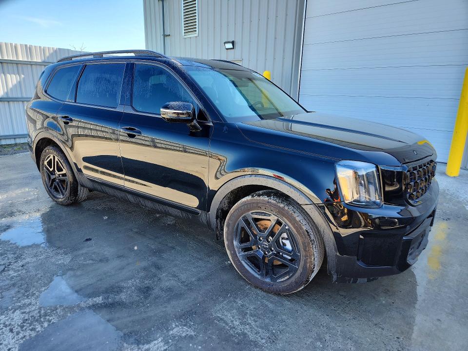 Продаж на аукціоні авто 2025 Kia Telluride, vin: 5XYP5DGC0SG632436, номер лоту: 53925306