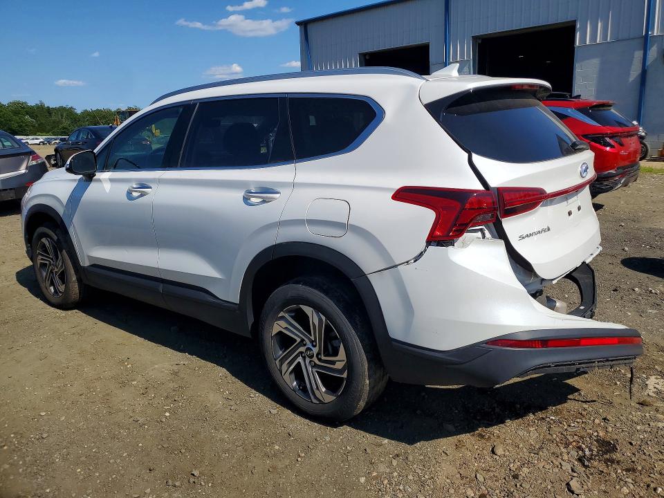 Продаж на аукціоні авто 2023 Hyundai Santa Fe, vin: 5NMS2DAJ7PH488777, номер лоту: 55509446