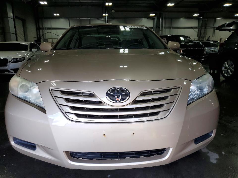 53415156 :رقم المزاد ، 4T4BE46K19R117460 vin ، 2009 Toyota Camry مزاد بيع