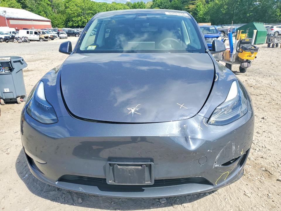 Продаж на аукціоні авто 2023 Tesla Model Y, vin: 7SAYGDEE1PF865889, номер лоту: 53791266