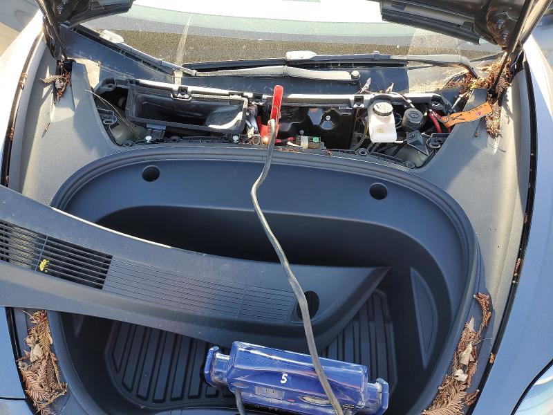 2022 Tesla Model 3 მანქანა იყიდება აუქციონზე, vin: 5YJ3E1EA5NF325564, აუქციონის ნომერი: 53238946