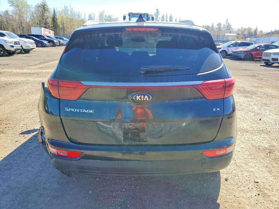 Продаж на аукціоні авто 2017 Kia Sportage, vin: KNDPNCAC5H7117814, номер лоту: 52807356