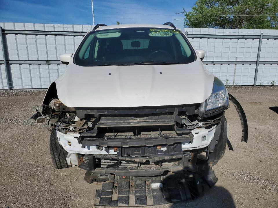 Продаж на аукціоні авто 2014 Ford Escape, vin: 1FMCU9G96EUB82423, номер лоту: 53098366