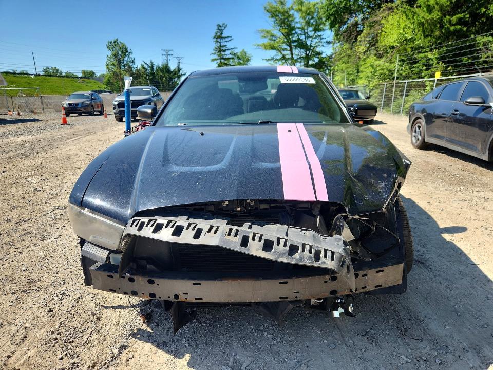 Продаж на аукціоні авто 2013 Dodge Charger, vin: 2C3CDXCT9DH597980, номер лоту: 55505286