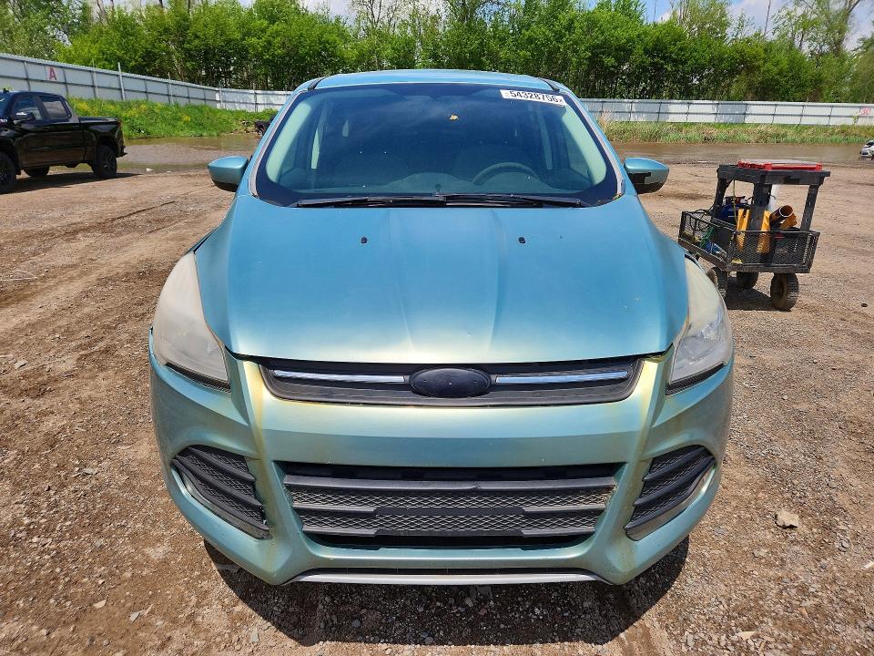 54328756 :رقم المزاد ، 1FMCU0GX2DUB27184 vin ، 2013 Ford Escape مزاد بيع
