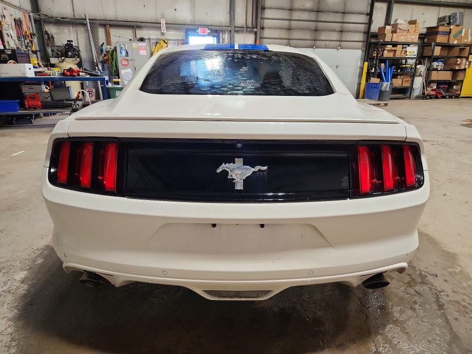 51995456 :رقم المزاد ، 1FA6P8AM7H5319096 vin ، 2017 Ford Mustang مزاد بيع