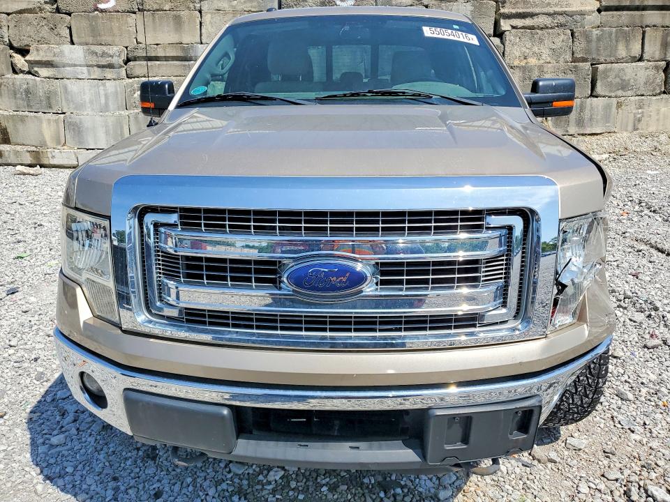 Продаж на аукціоні авто 2013 Ford F150, vin: 1FTFX1ET9DFC70460, номер лоту: 55054016