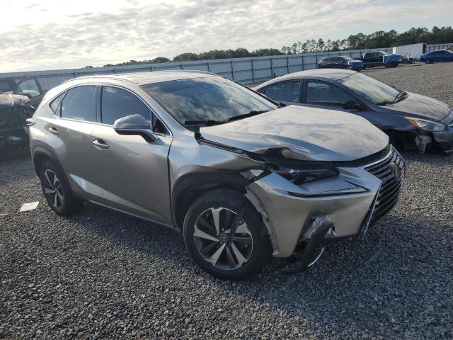 Продажа на аукционе авто 2021 Lexus Nx 300, vin: JTJGARBZ6M2195783, номер лота: 53738436