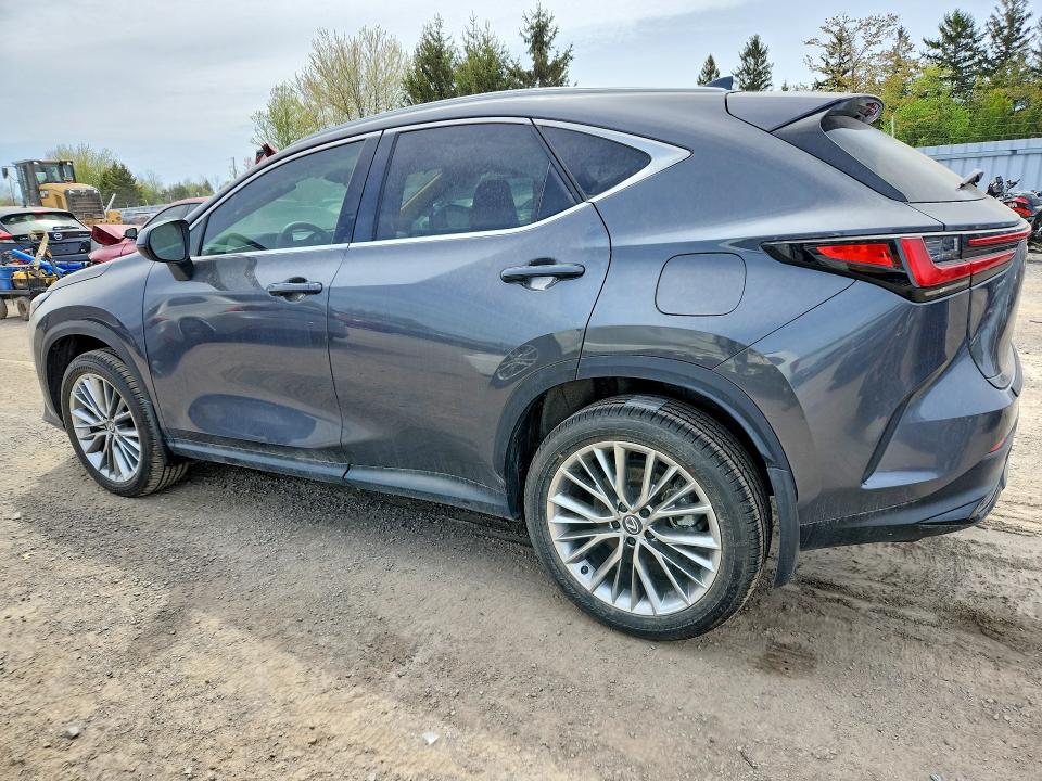 Продажа на аукционе авто 2026 Lexus Nx 350, vin: 2T2GGCEZ8TC096887, номер лота: 53166436
