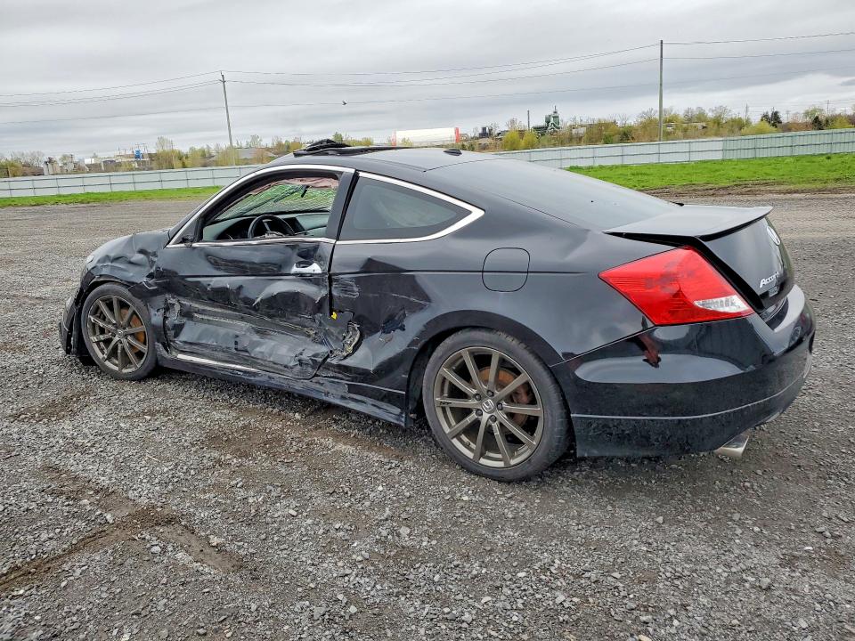 51755446 :رقم المزاد ، 1HGCS2B81BA800505 vin ، 2011 Honda Accord مزاد بيع