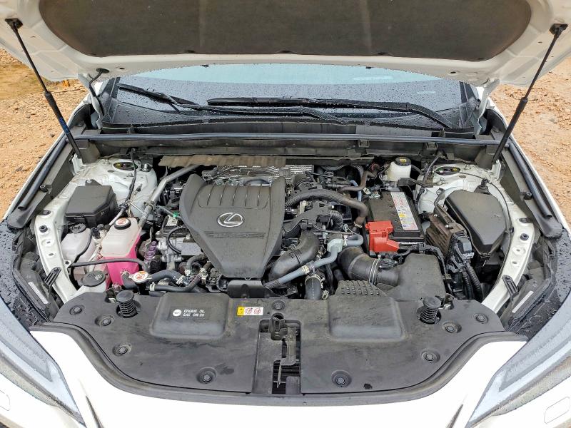 Продаж на аукціоні авто 2025 Lexus Nx, vin: JTJHGCEZ6S2022578, номер лоту: 53970286