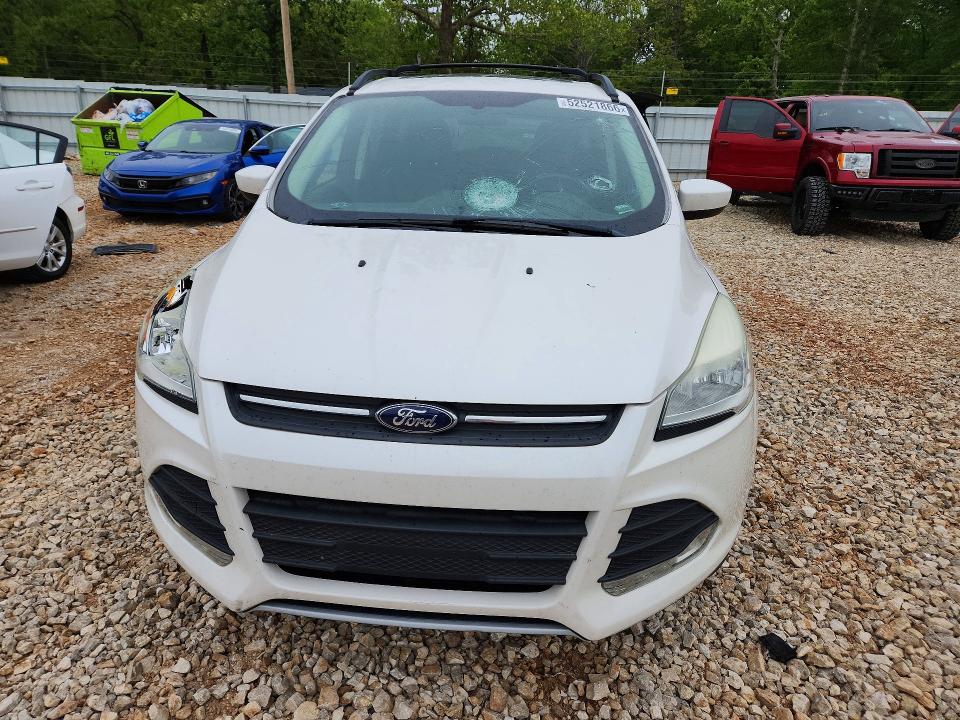 Продаж на аукціоні авто 2013 Ford Escape, vin: 1FMCU0GX4DUD27239, номер лоту: 52521866