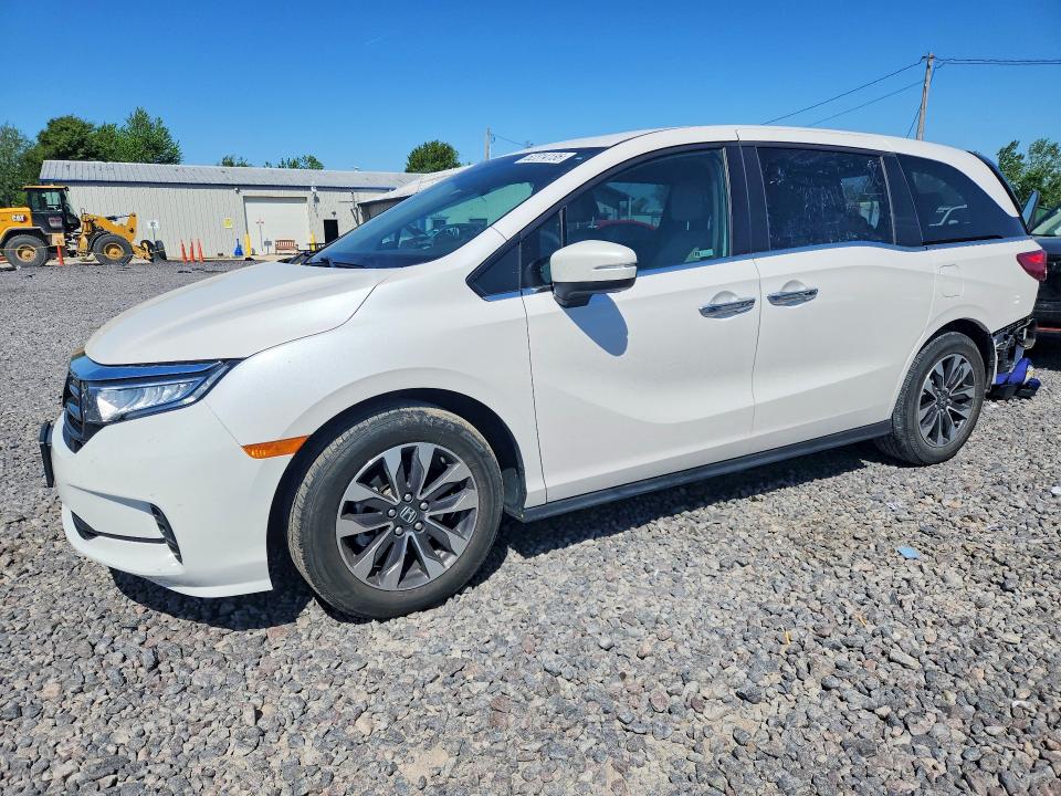 Auction sale of the 2023 Honda Odyssey, vin: 5FNRL6H63PB077130, lot number: 52314136