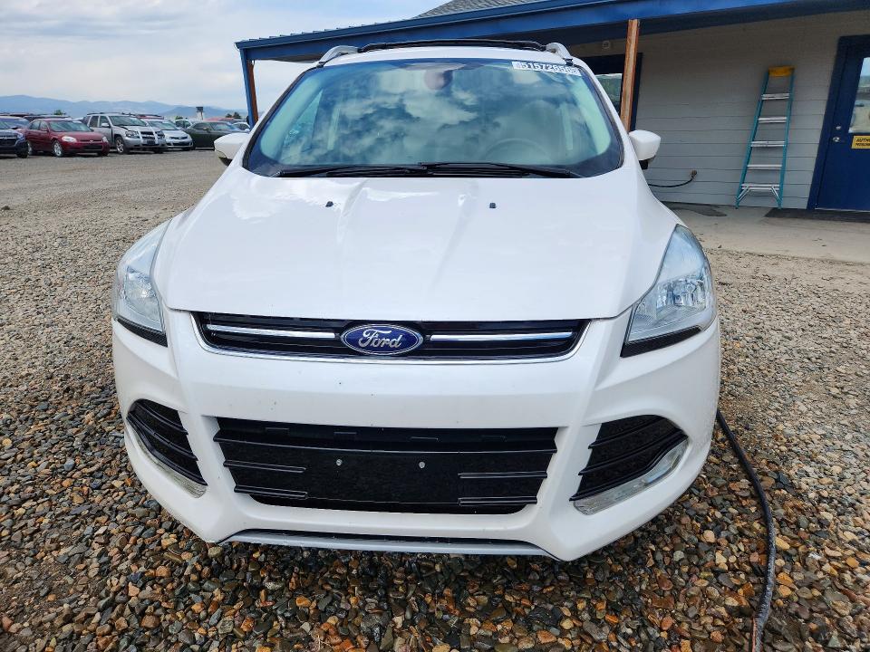 Продажа на аукционе авто 2014 Ford Escape, vin: 1FMCU9J93EUB72344, номер лота: 51572656
