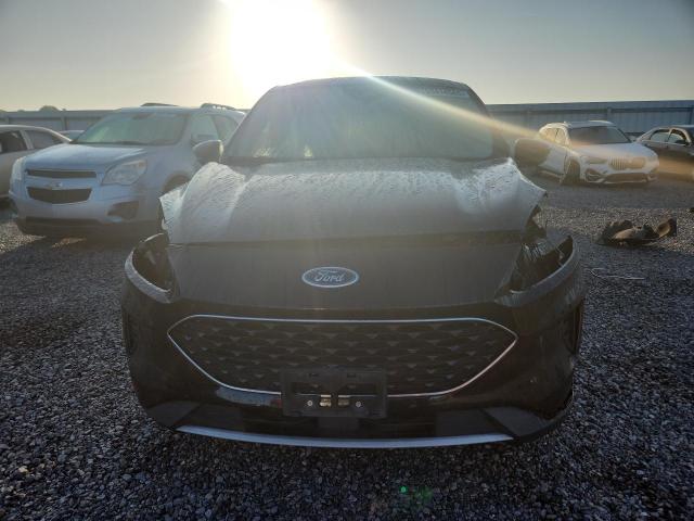 Продаж на аукціоні авто 2020 Ford Escape, vin: 1FMCU0G61LUA75195, номер лоту: 53414566