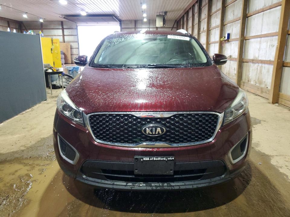 Продажа на аукционе авто 2017 Kia Sorento, vin: 5XYPGDA32HG264255, номер лота: 51831286