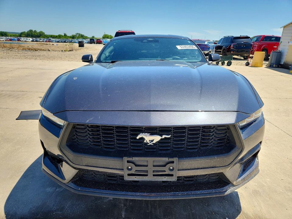 Продажа на аукционе авто 2024 Ford Mustang, vin: 1FA6P8TH5R5141254, номер лота: 53463406