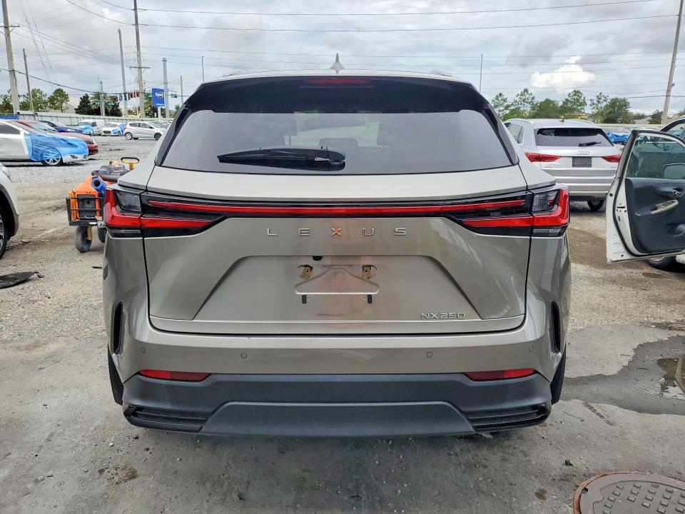 2025 Lexus Nx მანქანა იყიდება აუქციონზე, vin: 2T2GDCAZXSC017104, აუქციონის ნომერი: 55092196