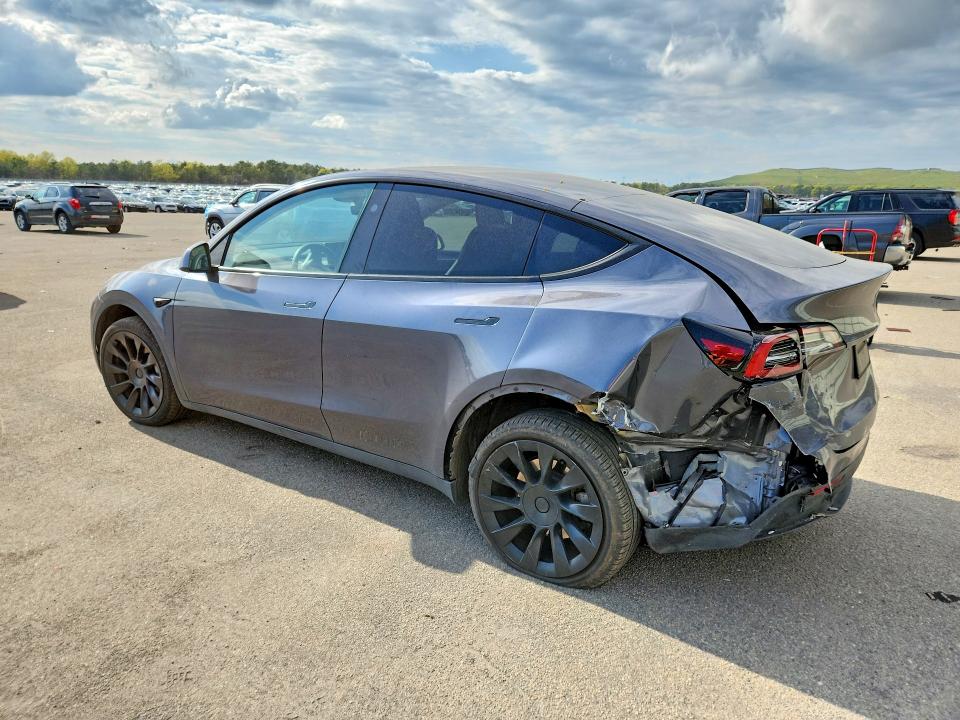 Aukcja sprzedaży 2023 Tesla Model Y, vin: 7SAYGDEE9PA155622, numer aukcji: 53191466
