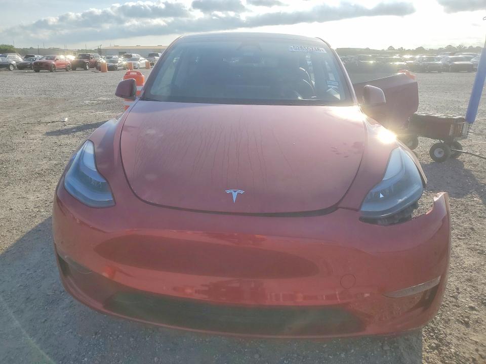 Продаж на аукціоні авто 2024 Tesla Model Y, vin: 7SAYGDEF7RA313080, номер лоту: 52856716