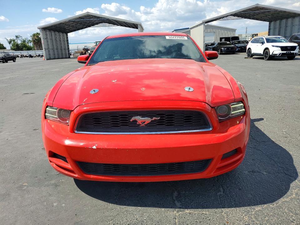 55222666 :رقم المزاد ، 1ZVBP8AM0D5242118 vin ، 2013 Ford Mustang مزاد بيع