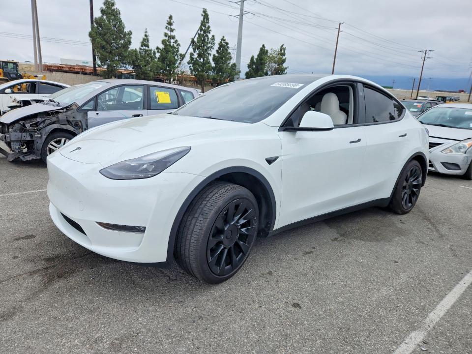 Продажа на аукционе авто 2024 Tesla Model Y, vin: 7SAYGDEE6RF089603, номер лота: 54885096