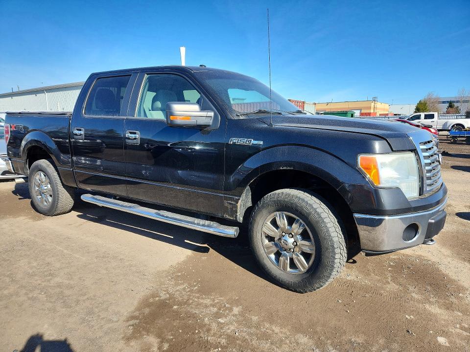 Продаж на аукціоні авто 2010 Ford F150, vin: 1FTEW1E87AFC31792, номер лоту: 53192656