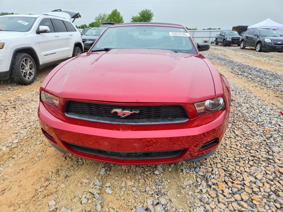 Продажа на аукционе авто 2010 Ford Mustang, vin: 1ZVBP8EN4A5142960, номер лота: 53670106