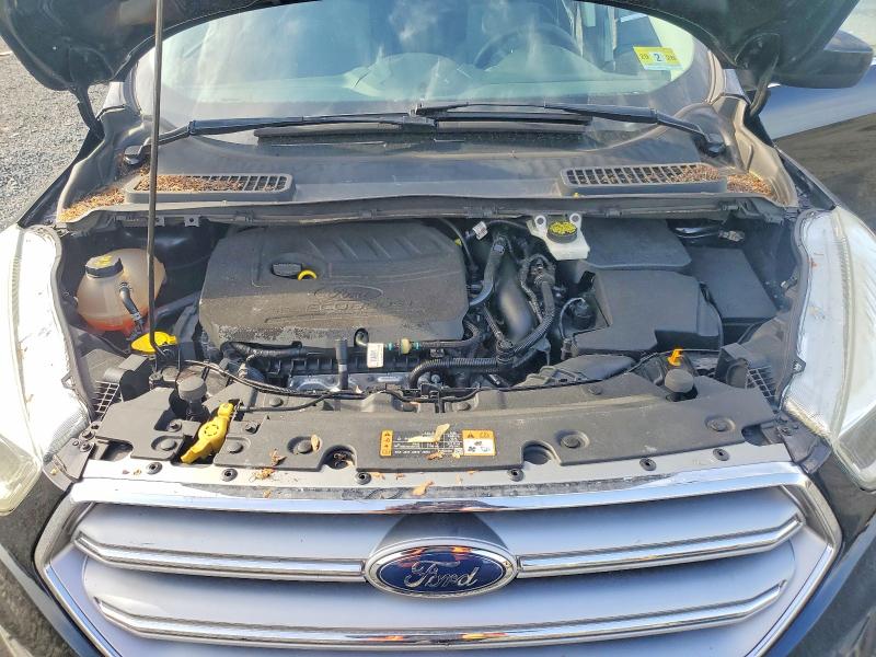 53721116 :رقم المزاد ، 1FMCU0GD6HUC77374 vin ، 2017 Ford Escape مزاد بيع