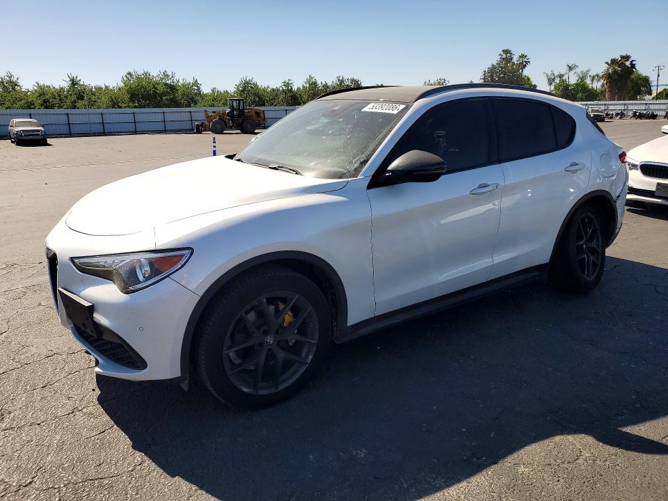Продажа на аукционе авто 2019 Alfa Romeo Stelvio, vin: ZASPAKBN2K7C49398, номер лота: 53392086