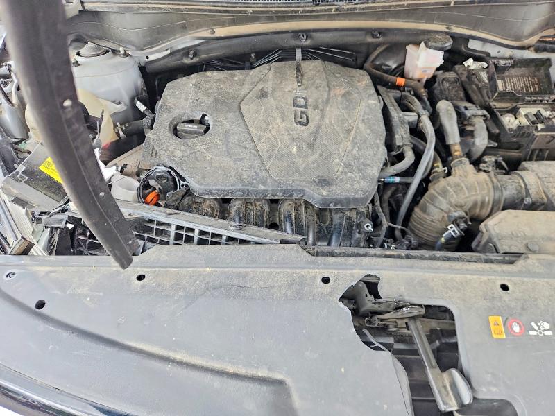 Aukcja sprzedaży 2024 Kia Sportage, vin: 5XYK53DF9RG151453, numer aukcji: 54248976