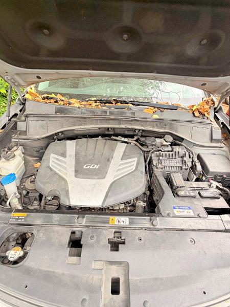 Продаж на аукціоні авто 2017 Hyundai Santa Fe, vin: KM8SR4HF2HU185683, номер лоту: 52952116