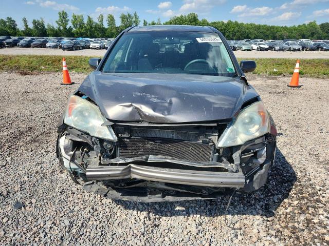 Продаж на аукціоні авто 2010 Honda Cr-v, vin: 5J6RE4H54AL051978, номер лоту: 54258626