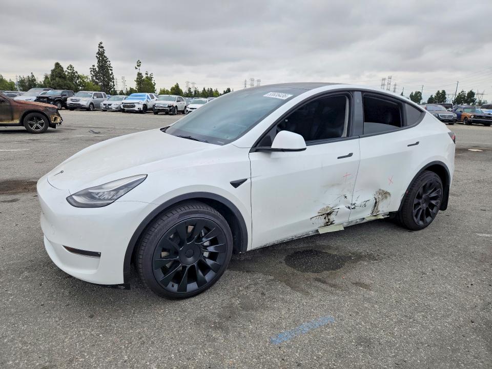 Aukcja sprzedaży 2021 Tesla Model Y, vin: 5YJYGDEE7MF299987, numer aukcji: 53636436