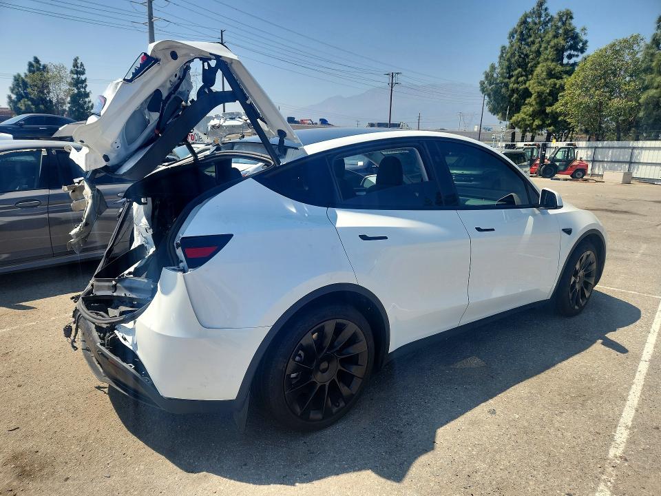 Aukcja sprzedaży 2024 Tesla Model Y, vin: 7SAYGDED2RF190869, numer aukcji: 53067986