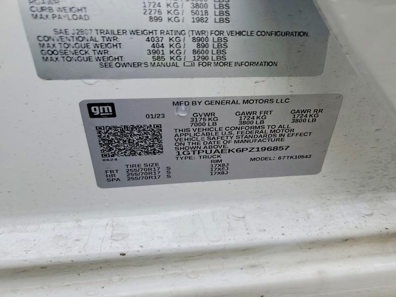 2023 Gmc Sierra მანქანა იყიდება აუქციონზე, vin: 1GTPUAEK6PZ196857, აუქციონის ნომერი: 53851866