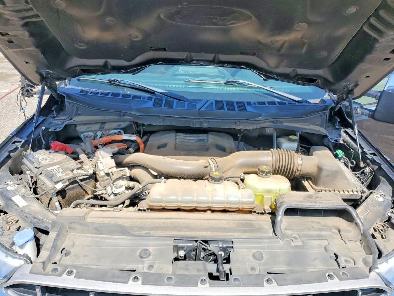 53735796 :رقم المزاد ، 1FTFW1CD7MFC30411 vin ، 2021 Ford F150 مزاد بيع