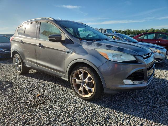 Продаж на аукціоні авто 2014 Ford Escape, vin: 1FMCU0J97EUC14347, номер лоту: 54547986