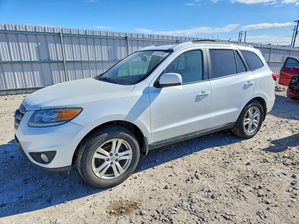 Продажа на аукционе авто 2012 Hyundai Santa Fe, vin: 5XYZKDAG6CG094257, номер лота: 51033566