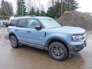 Auction sale of the 2023 Ford Bronco, vin: 3FMCR9B6XPRD43347, lot number: 52543546